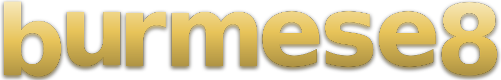 burmese8 logo